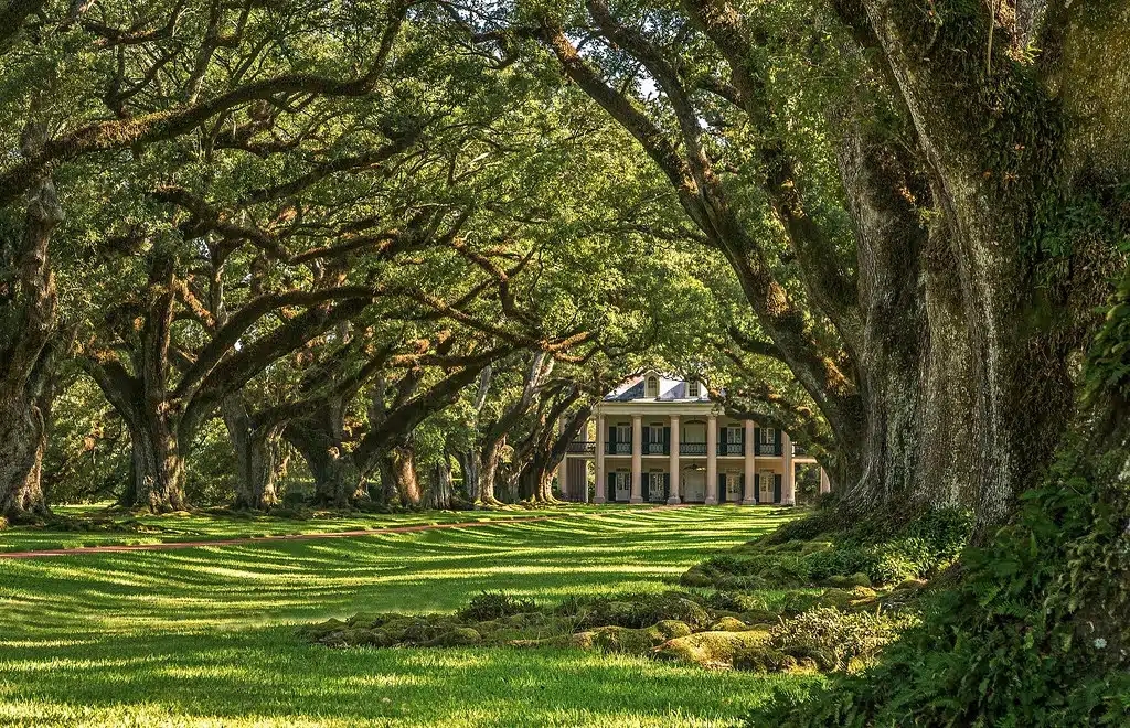 Tunnel of trees at Oak Alley Plantation