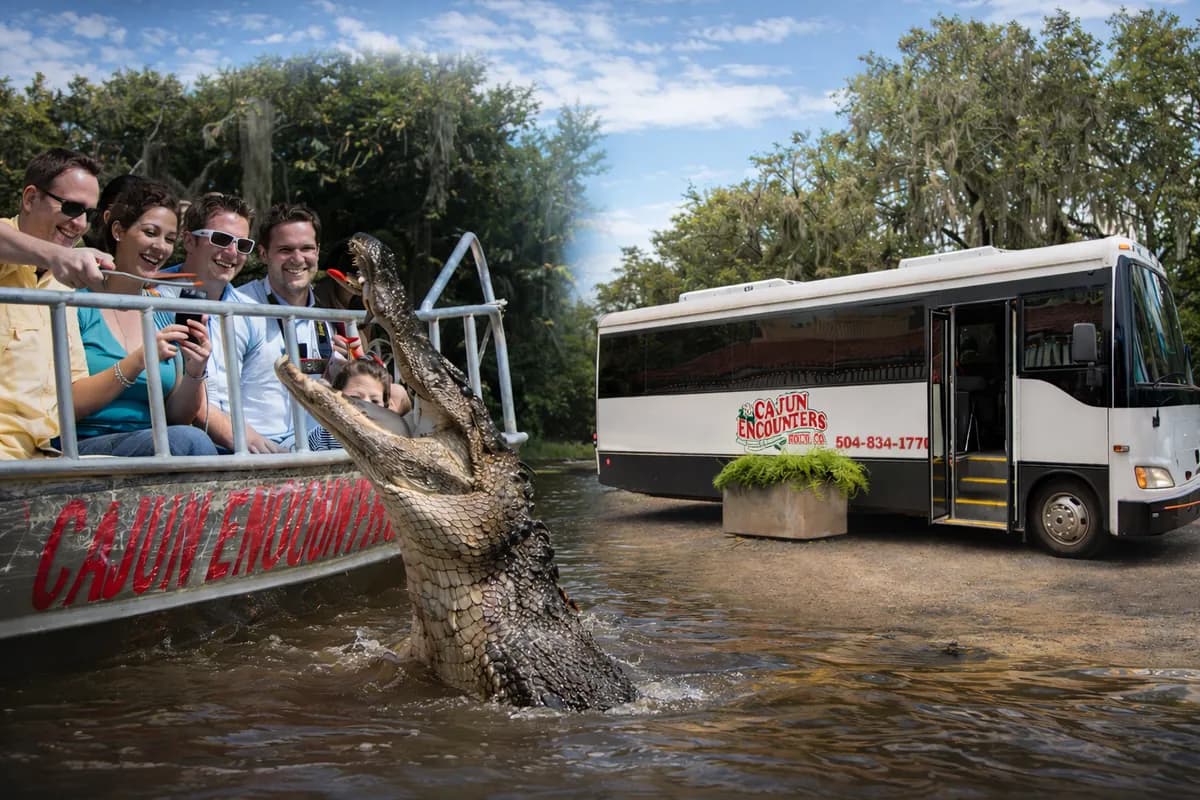 Swamp and city bus tour package with a Cajun Encounters swamp boat and tour bus