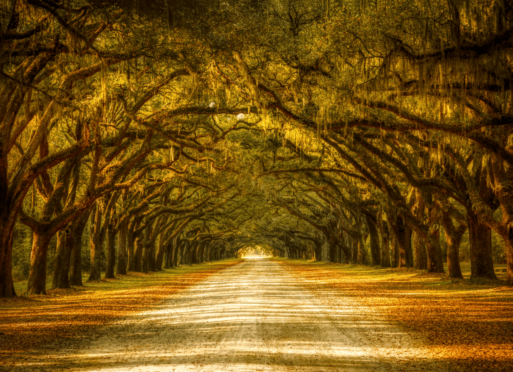 the coming-of-fall-how-the-changing-seasons-affected-new-orleans-plantations blog image