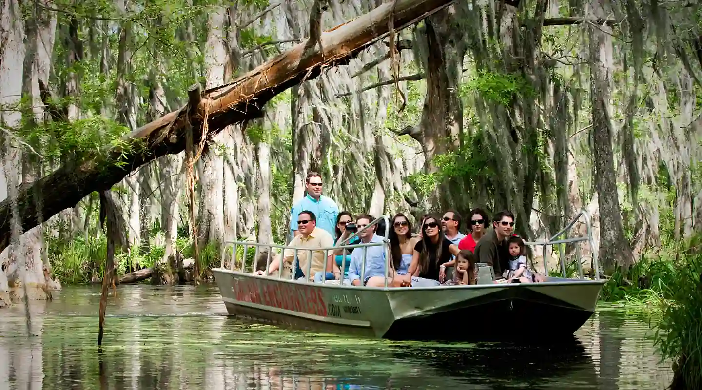 VIP small-boat swamp tour through narrow bayou channel at Honey Island Swamp