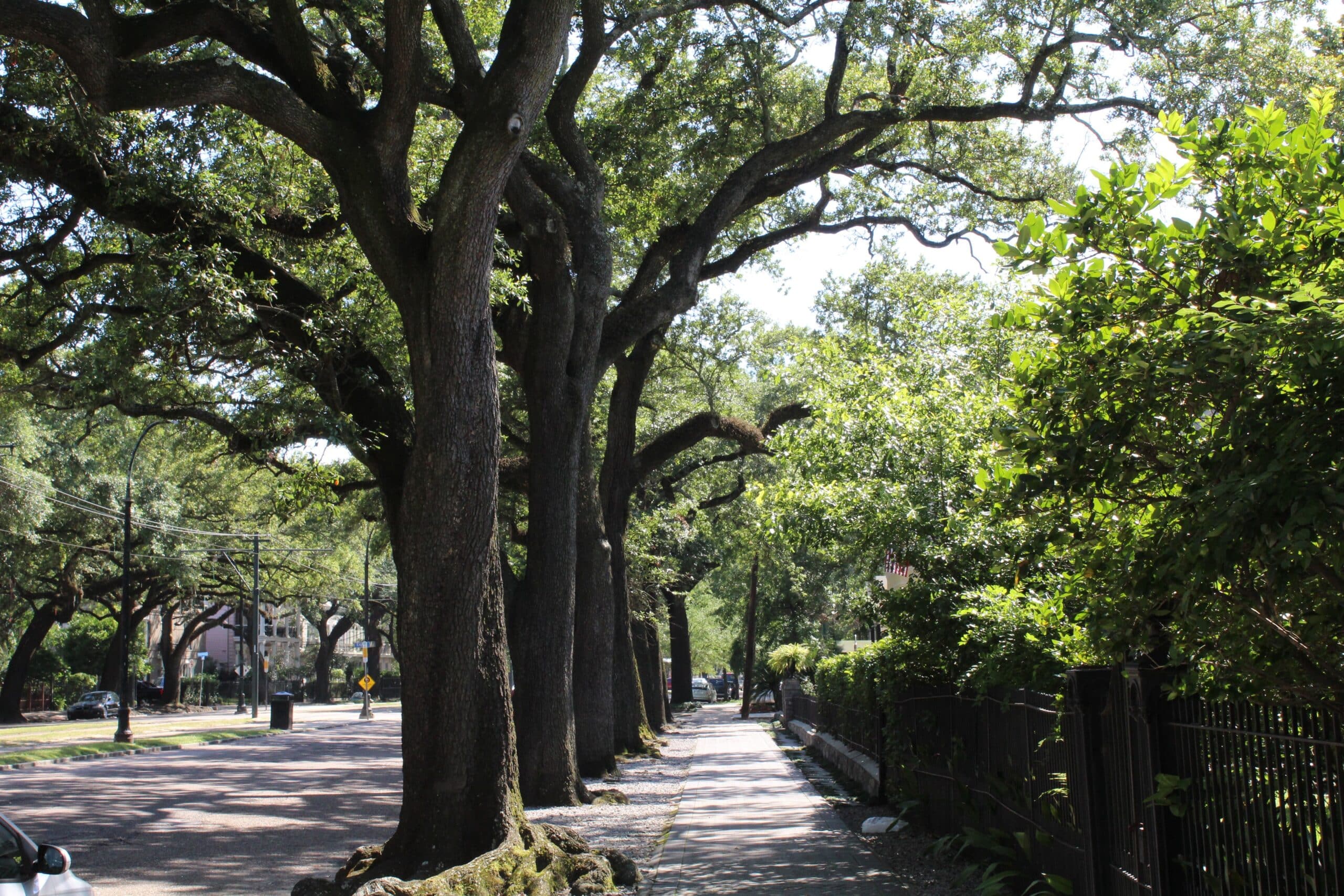 New Orleans Garden District Bus Tour