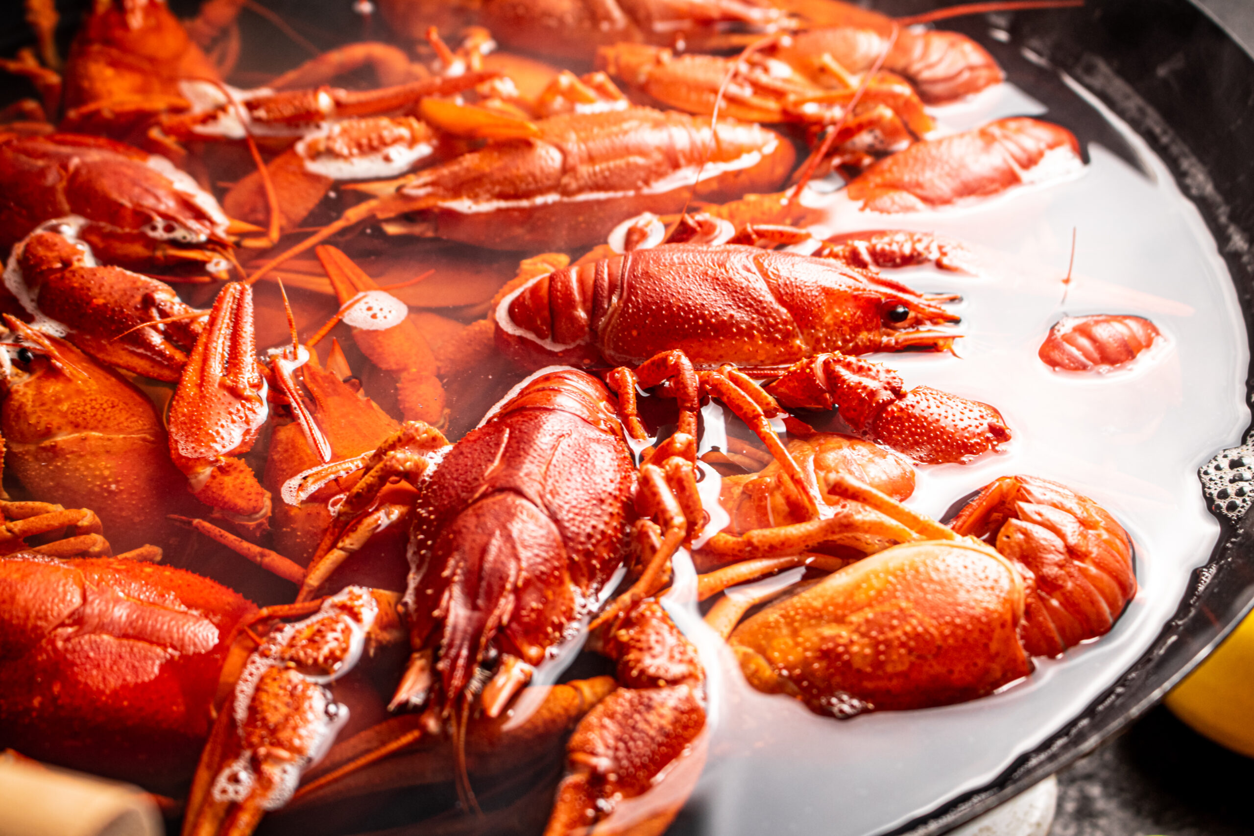 crawfish boiled in a pot during crawfish season in Louisiana